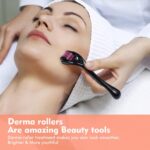Microneedle Roller Beauty Equipment